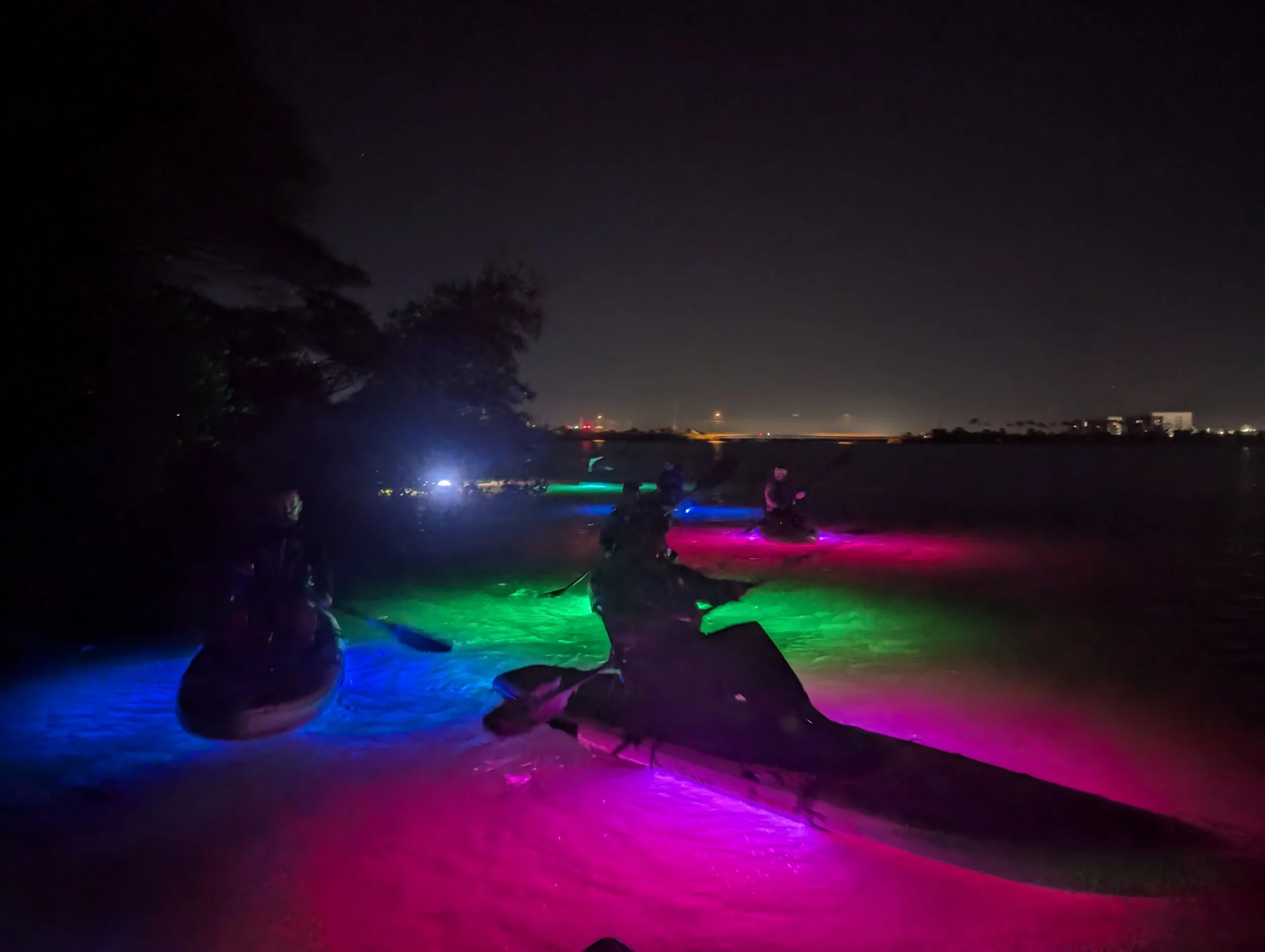 Bioluminescent Comb Jellies Guided Kayak / paddleboard tour near